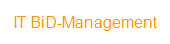 IT BiD-Management
